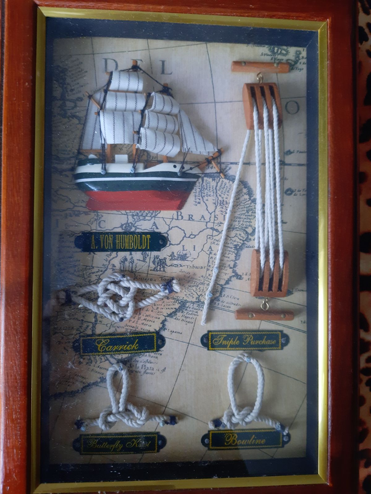 Предлагает